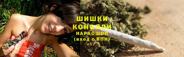 сатива Вяземский