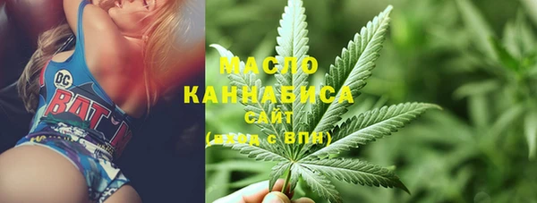сатива Вяземский