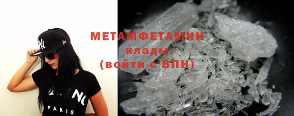 сатива Вяземский