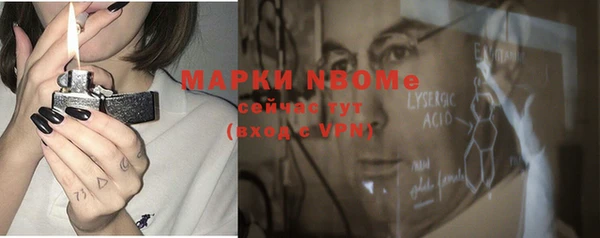 сатива Вяземский