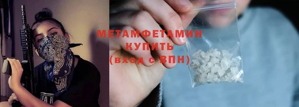 сатива Вяземский