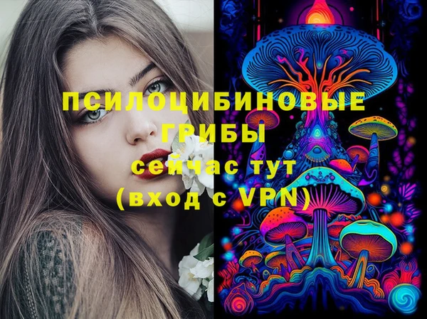 мяу мяу мука Вязники