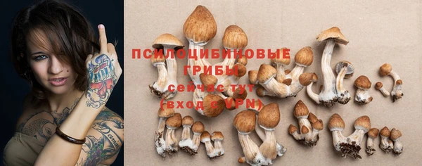 мяу мяу мука Вязники