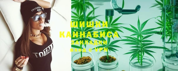 сатива Вяземский
